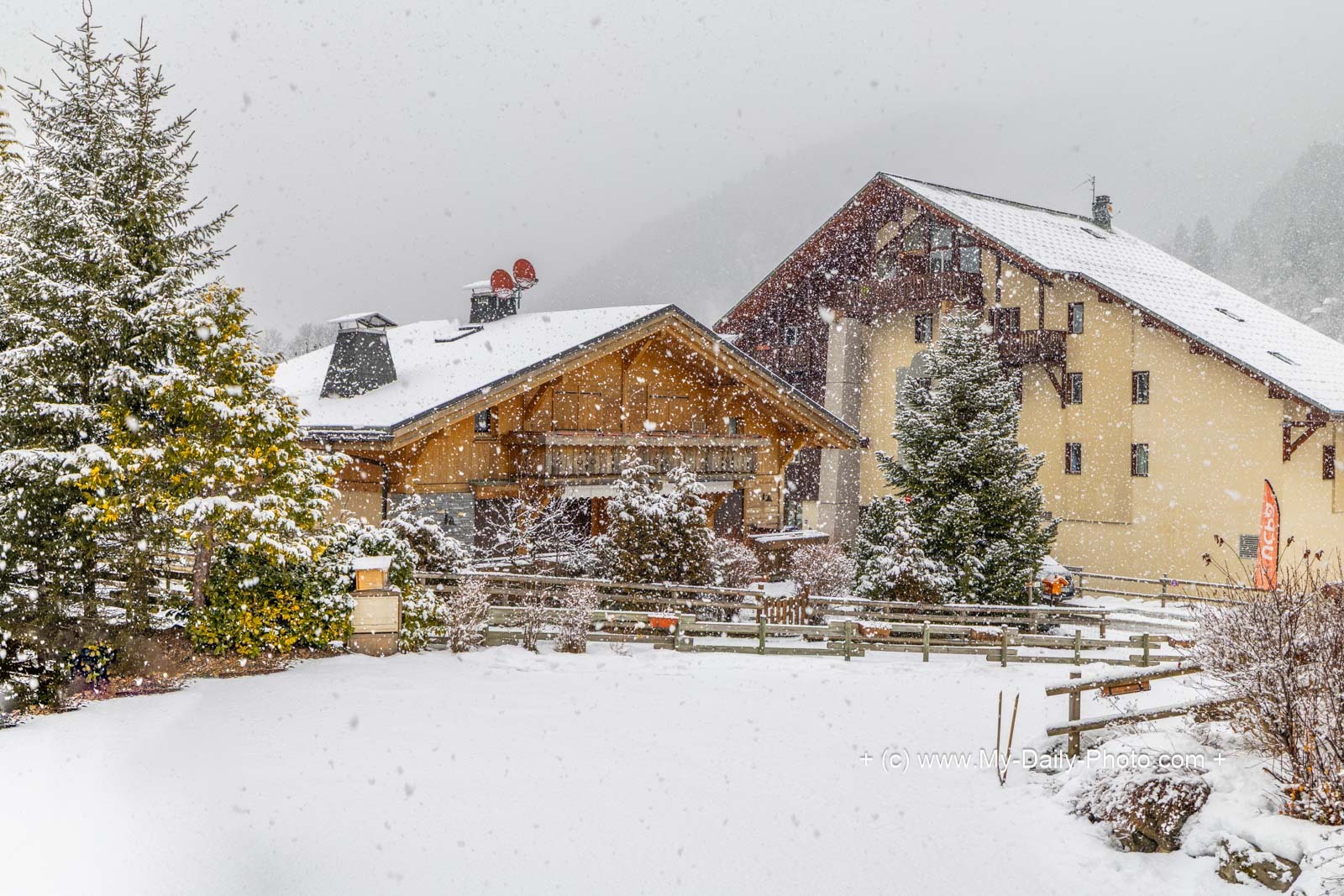 Some very welcome fresh snow :-)  